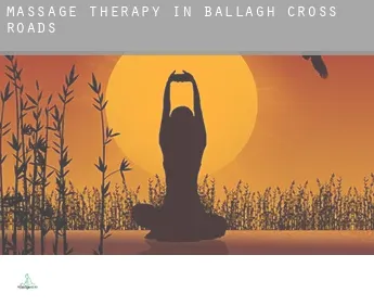 Massage therapy in  Ballagh Cross Roads