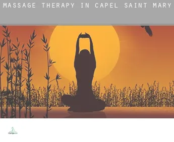 Massage therapy in  Capel Saint Mary