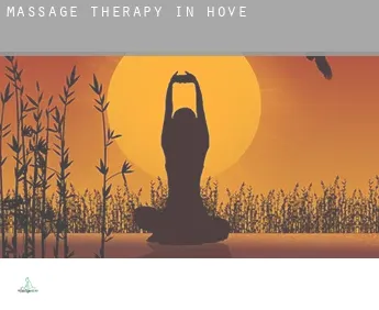 Massage therapy in  Hove