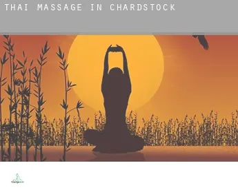 Thai massage in  Chardstock