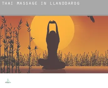 Thai massage in  Llanddarog