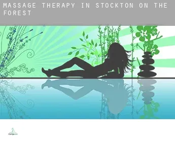 Massage therapy in  Stockton on the Forest