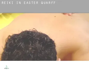 Reiki in Easter Quarff