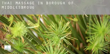 Thai massage in Middlesbrough (Borough)