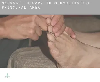 Massage therapy in  Monmouthshire principal area