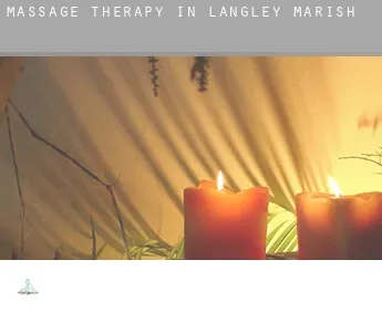 Massage therapy in  Langley Marish