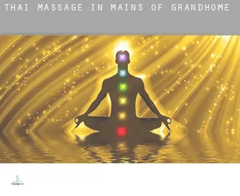 Thai massage in  Mains of Grandhome