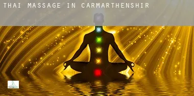 Thai massage in  of Carmarthenshire