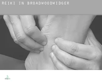 Reiki in  Broadwoodwidger
