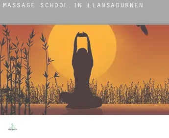 Massage school in  Llansadurnen