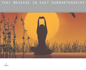 Thai massage in  East Dunbartonshire