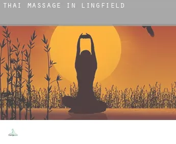 Thai massage in  Lingfield