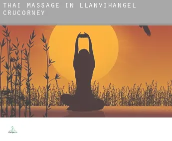 Thai massage in  Llanvihangel Crucorney