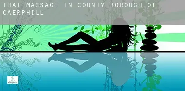 Thai massage in Caerphilly (County Borough)